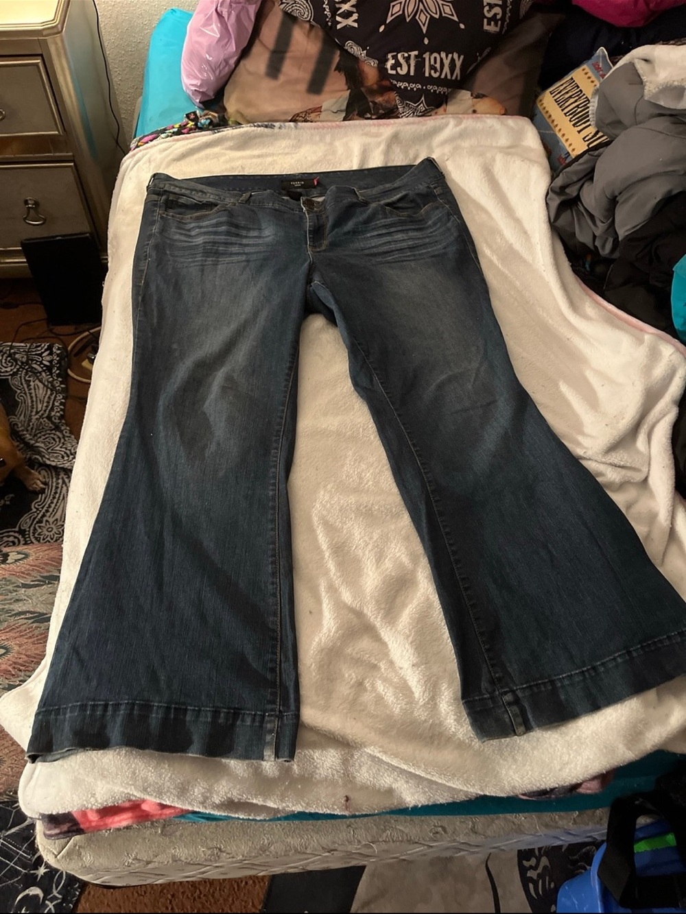 Torrid super flares size 24